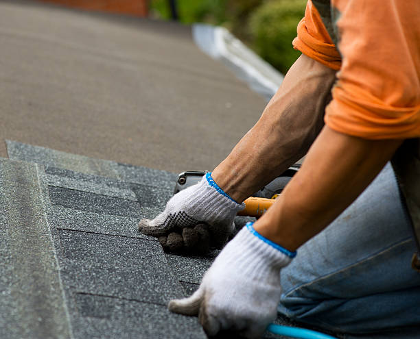 Best Roof Gutter Cleaning  in Mahnomen, MN